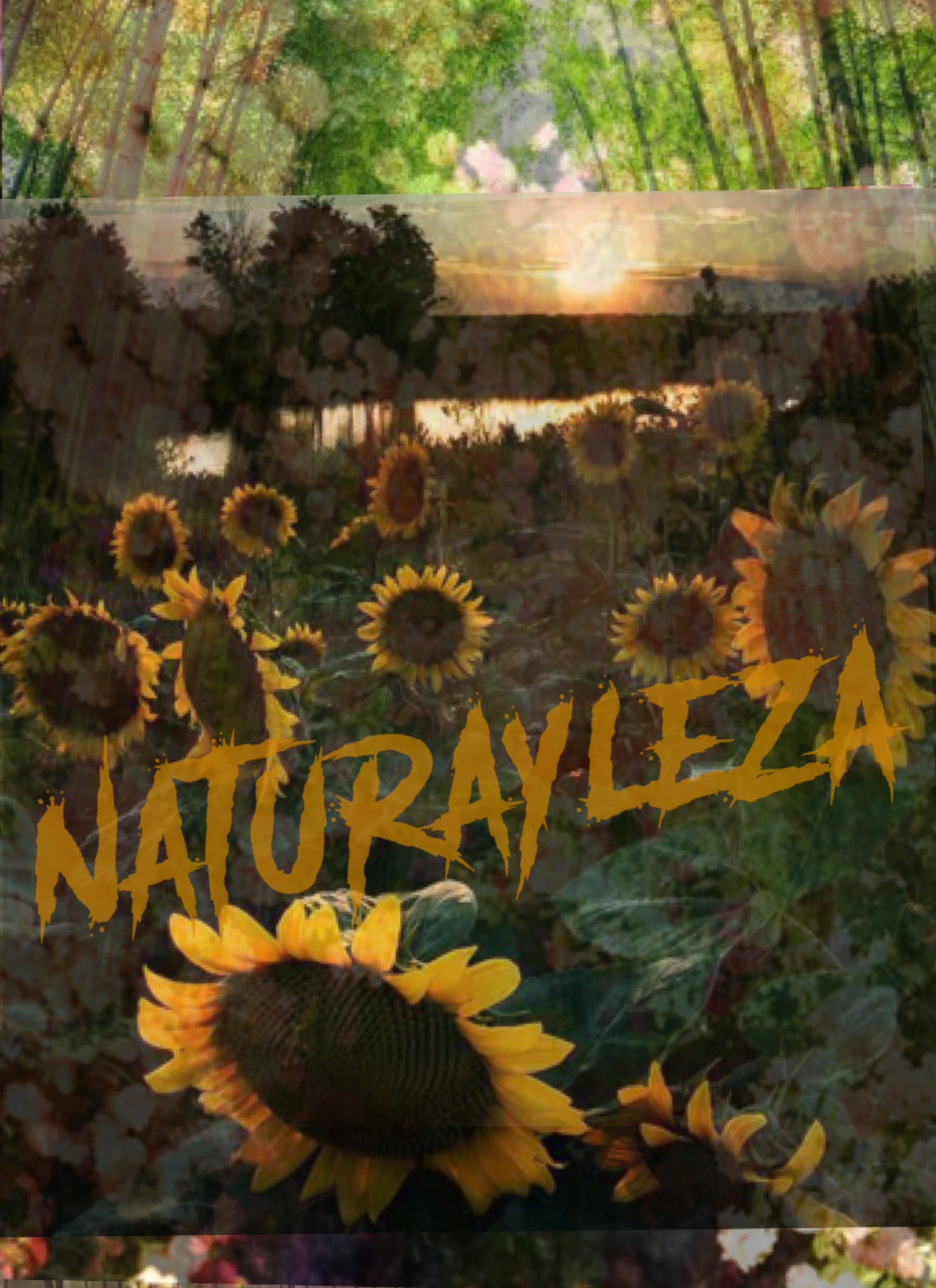 Naturayleza